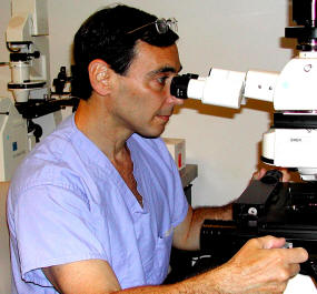 2006 Hartwell Investigator Gary Silverman, MD, Ph.D., University of Pittsburgh