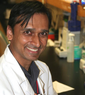 2011 Hartwell Investigator Praveen Raju, MD, Ph.D.,  Weill Cornell Medical College of Cornell  University