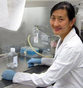 2011 Hartwell Investigator Jing Yang, Ph.D., University of California, San Diego
