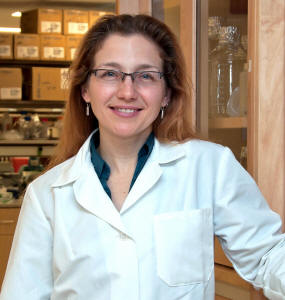 2012 Hartwell Investigator Stephanie Eisenbarth, MD, Ph.D., Yale University