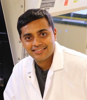 2016 Hartwell Investigator Nikhil Malvankar, Ph.D., Yale University