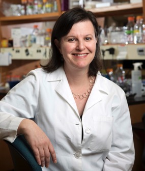 2016 Hartwell Investigator Debra Silver, Ph.D., Duke University.