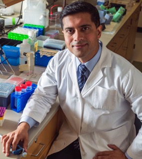 2017 Hartwell Investigator Mandeep Singh, MD, Ph.D., Johns Hopkins University.