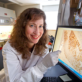 2018 Hartwell Investigator Ellen Foxman, MD, Ph.D., Yale University.