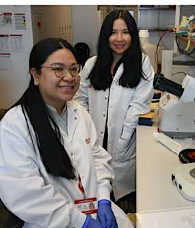 2020 Hartwell Fellow Katherine Z. Sanidad, Ph.D. and mentor Melody Y. Zeng, Ph.D., Cornell University
